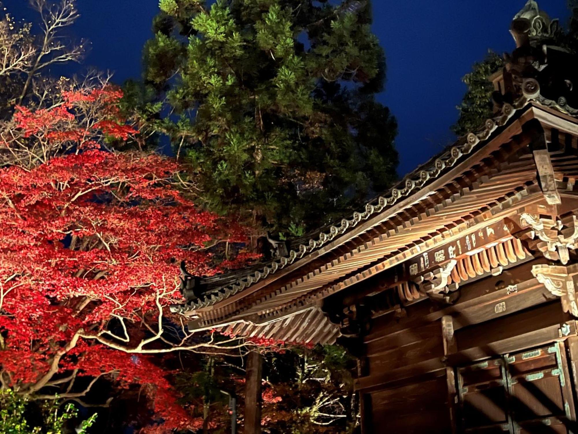 Vessel Inn Shigamoriyama Station Екстериор снимка